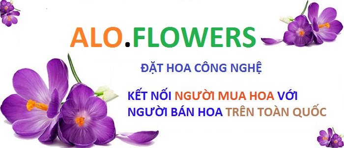 bán sỉ quần áo chợ ninh hiệp