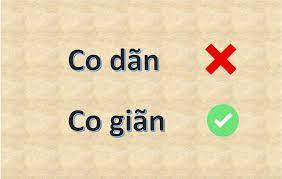 vải co dãn hay co giãn