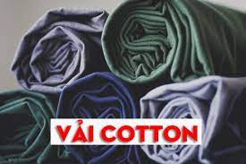 vải cotton 230gsm